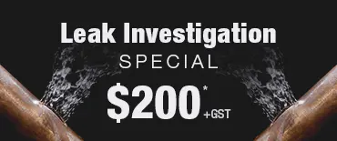 Leak Investigation Discount Royal Oak